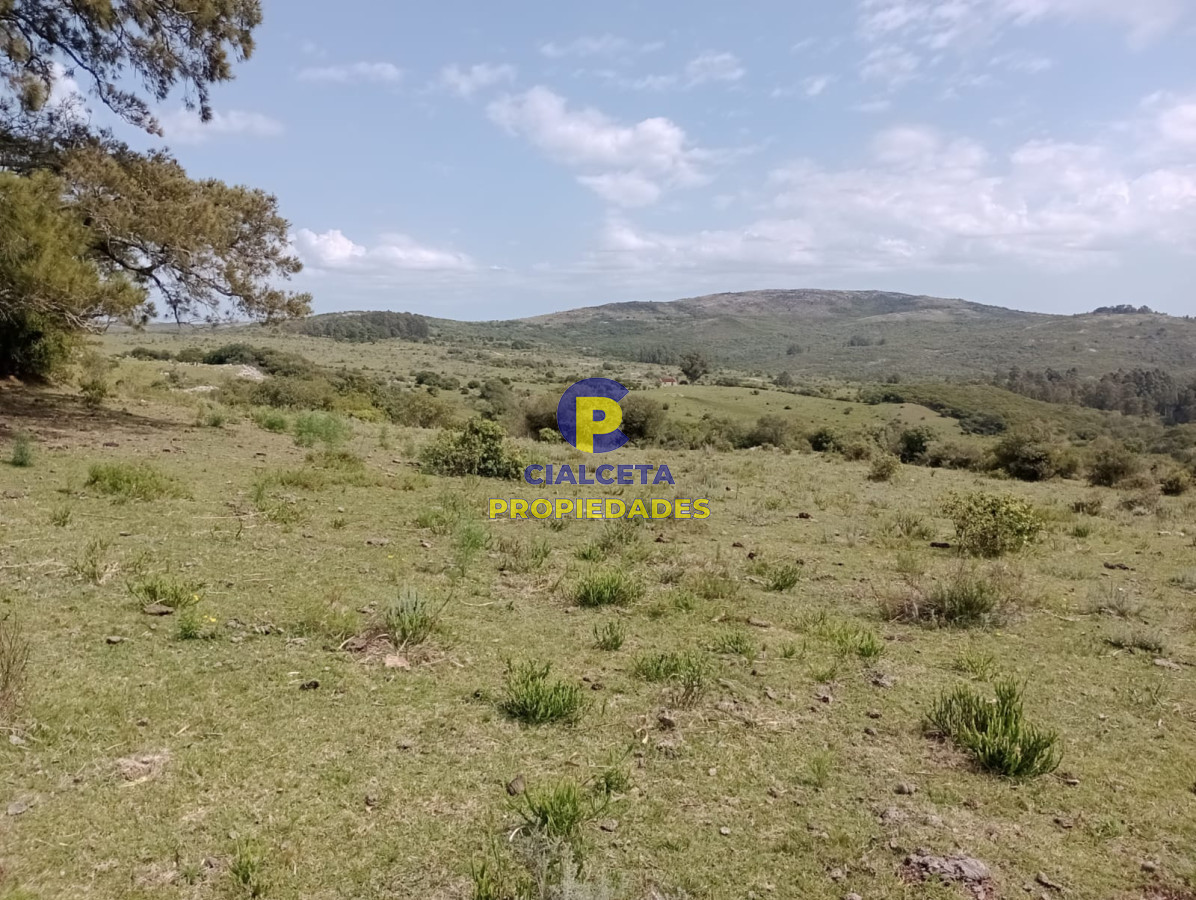 55 hectáreas en Maldonado - GoPunta - Portal Inmobiliario de Punta del Este - Maldonado