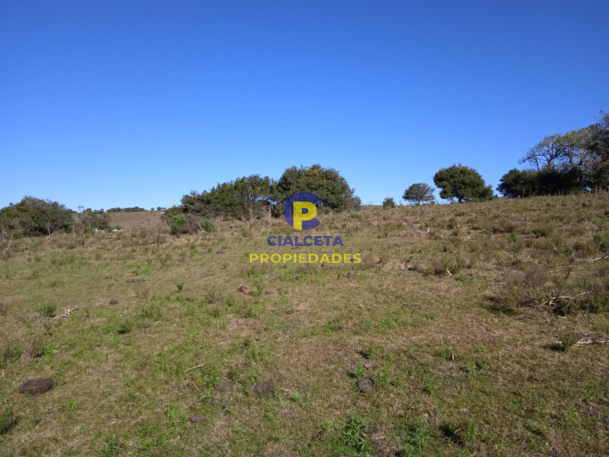 29 hectáreas en Minas - GoPunta - Portal Inmobiliario de Punta del Este - Maldonado