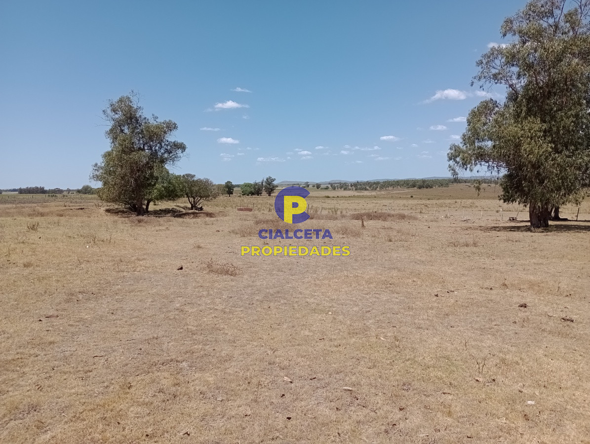 21 hectáreas en Lavalleja - GoPunta - Portal Inmobiliario de Punta del Este - Maldonado