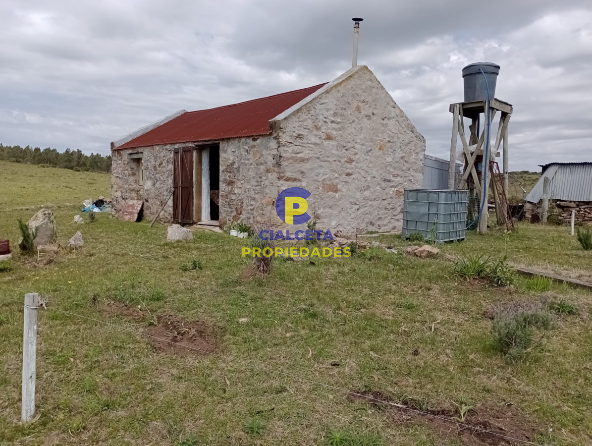 55 hectáreas en Maldonado - GoPunta - Portal Inmobiliario de Punta del Este - Maldonado