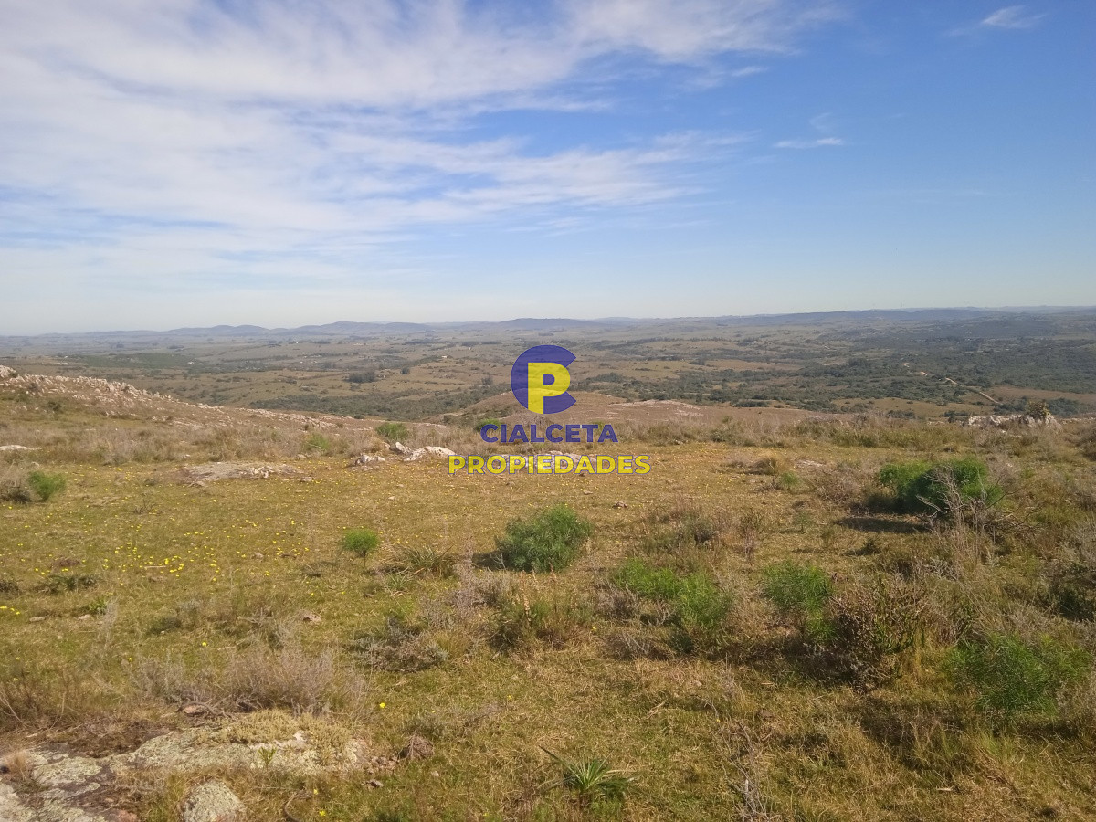 5 hectáreas en las Cañas - GoPunta - Portal Inmobiliario de Punta del Este - Maldonado