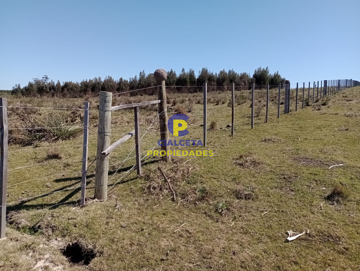 16 hectáreas en Maldonado - GoPunta - Portal Inmobiliario de Punta del Este - Maldonado