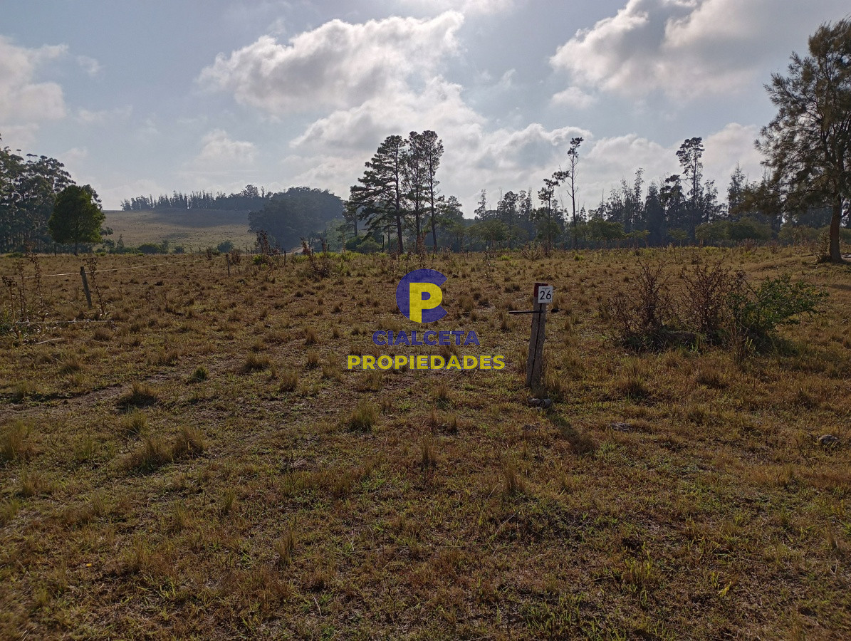 94 hectáreas en Maldonado - GoPunta - Portal Inmobiliario de Punta del Este - Maldonado
