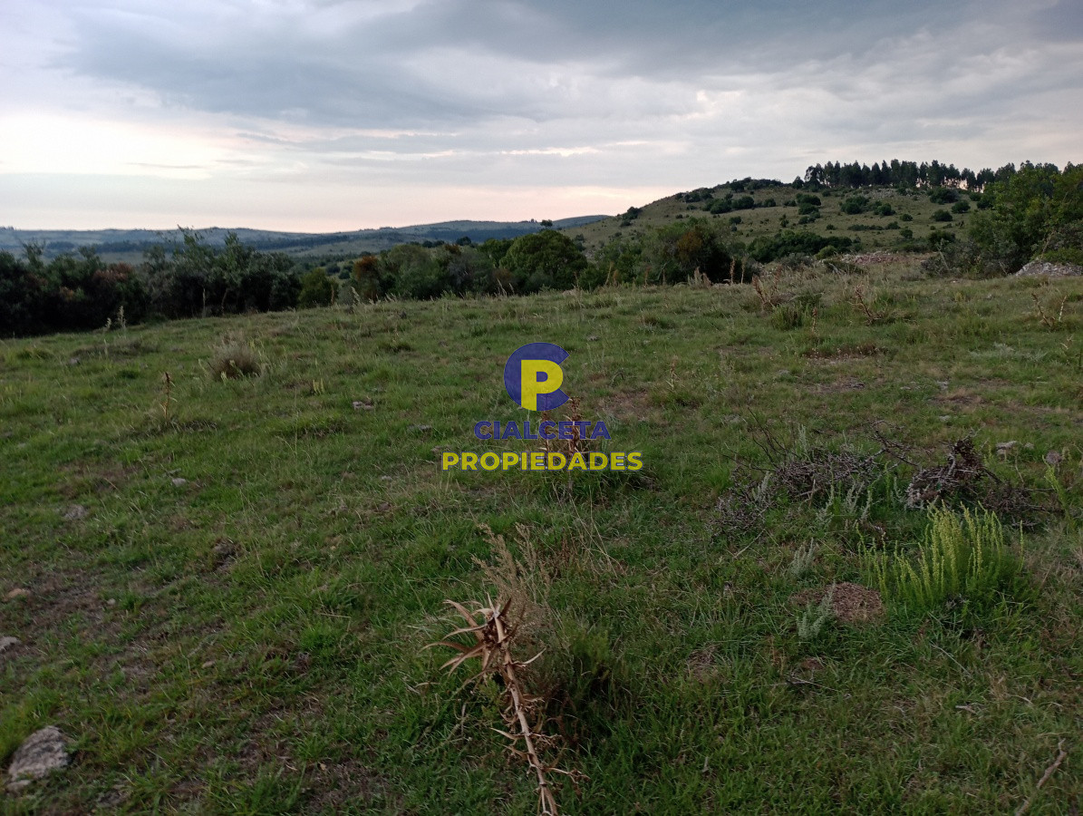 5 hectáreas en Pueblo Edén - GoPunta - Portal Inmobiliario de Punta del Este - Maldonado