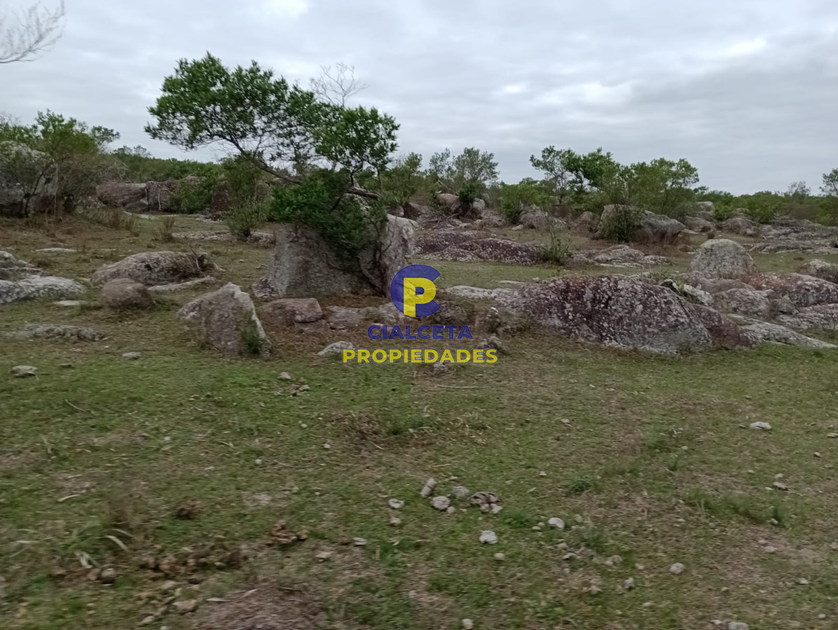 664 hectáreas en Colonia - GoPunta - Portal Inmobiliario de Punta del Este - Maldonado