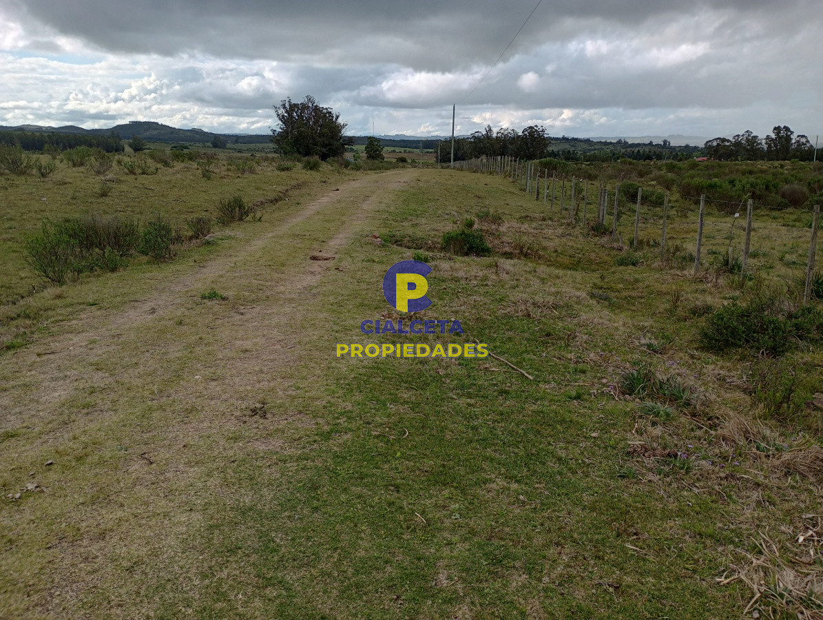 5 hectáreas en Maldonado, Pueblo Edén - GoPunta - Portal Inmobiliario de Punta del Este - Maldonado