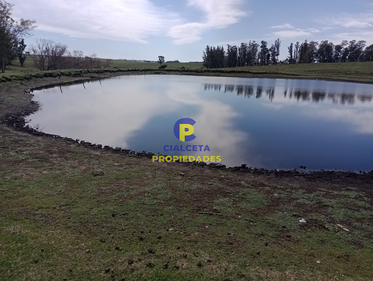 22 hectáreas en lavalleja - GoPunta - Portal Inmobiliario de Punta del Este - Maldonado