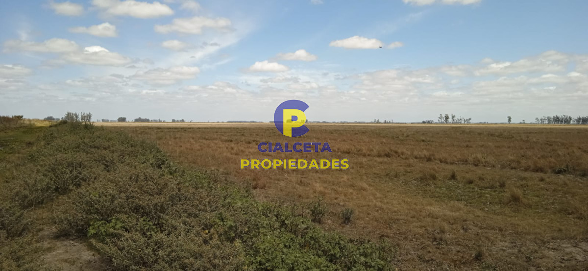 643 hectáreas en 33 - GoPunta - Portal Inmobiliario de Punta del Este - Maldonado