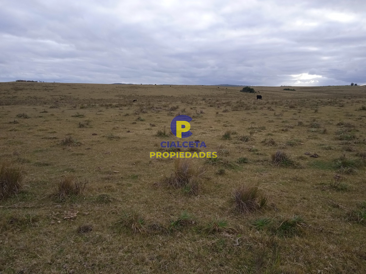 60 hectáreas en Garzón - GoPunta - Portal Inmobiliario de Punta del Este - Maldonado