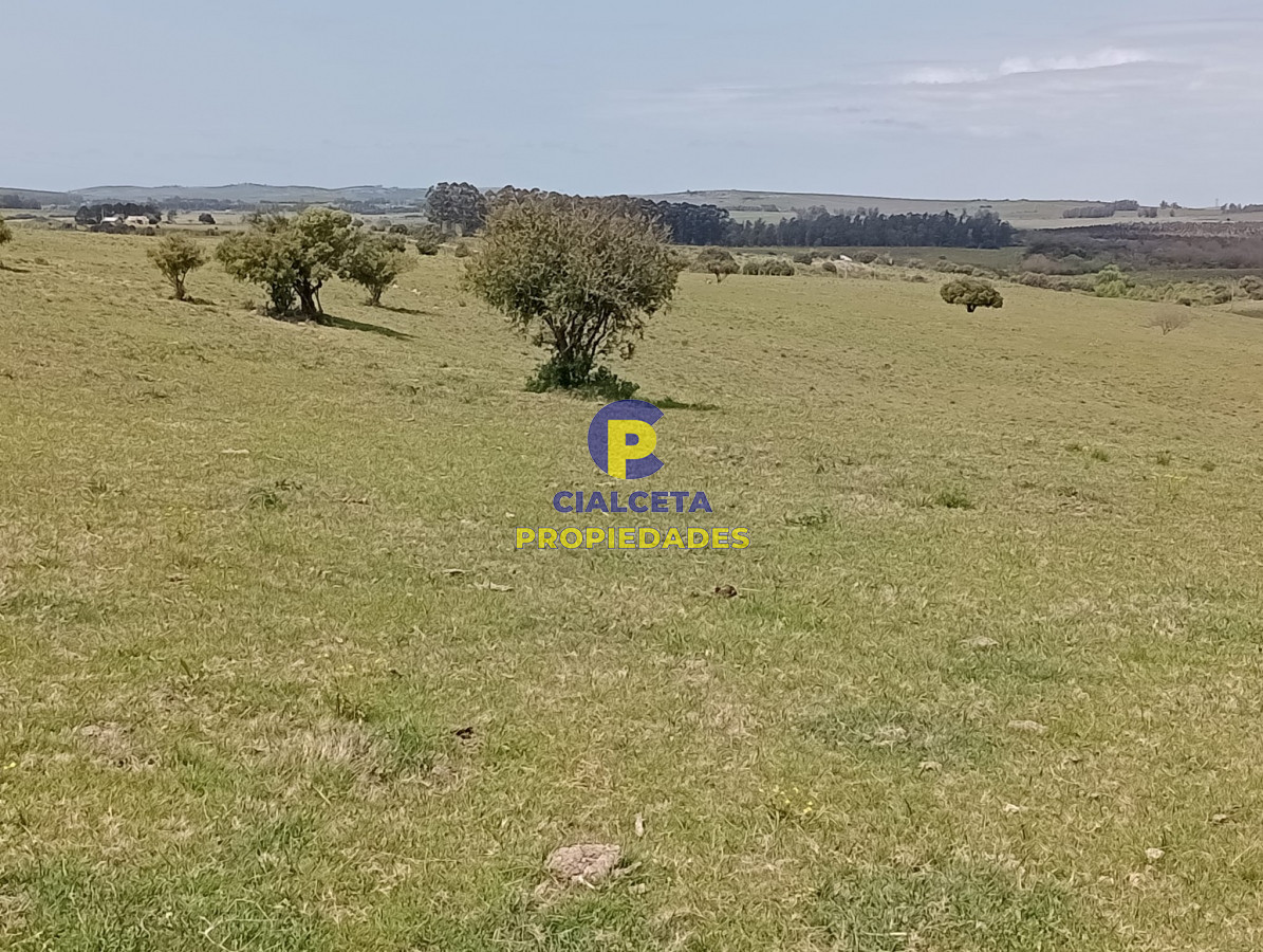32 hectáreas en Maldonado - GoPunta - Portal Inmobiliario de Punta del Este - Maldonado