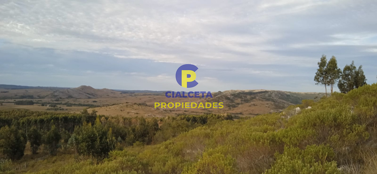 5 hectáreas, entrega 8.000 U$S y cuotas de 593 U$S - GoPunta - Portal Inmobiliario de Punta del Este - Maldonado