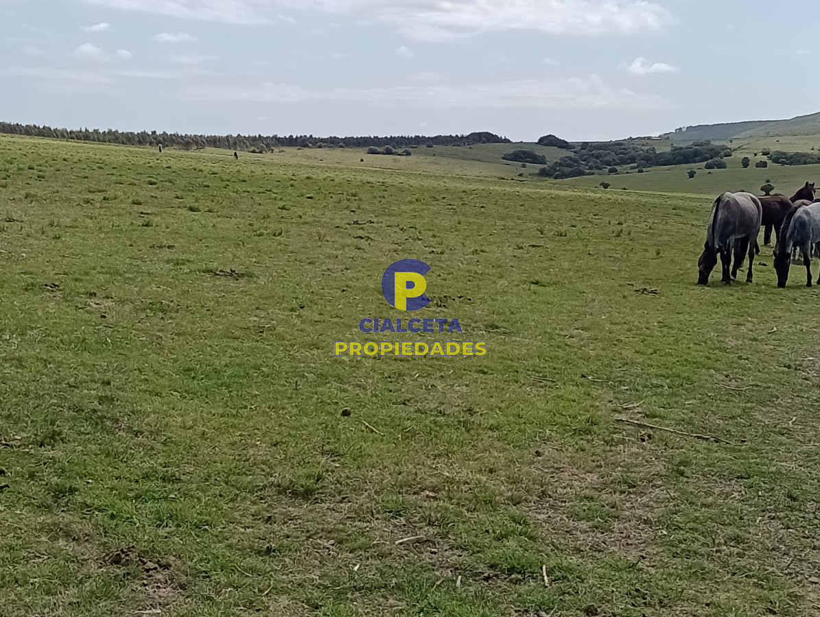 28 hectáreas y media en Maldonado - GoPunta - Portal Inmobiliario de Punta del Este - Maldonado