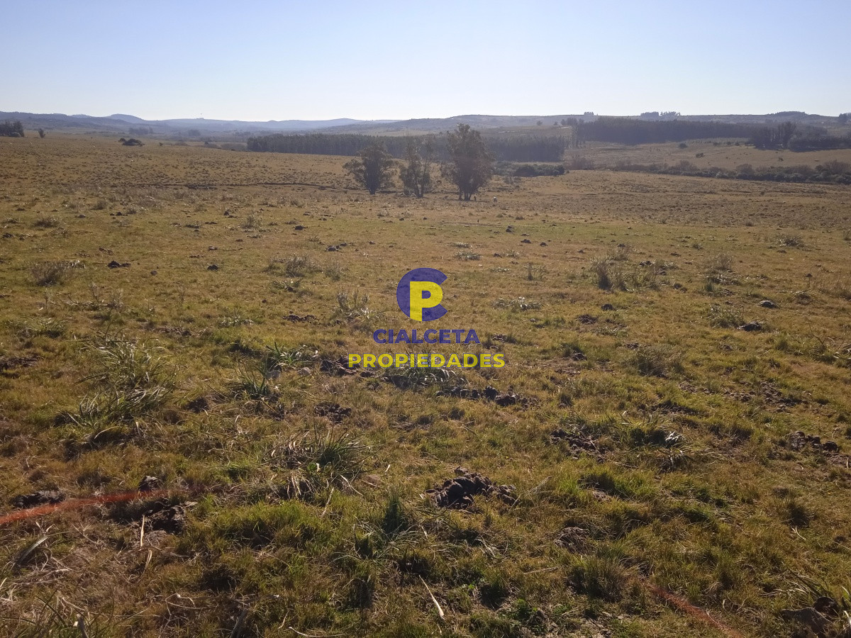 60 hectáreas en Carapé - GoPunta - Portal Inmobiliario de Punta del Este - Maldonado