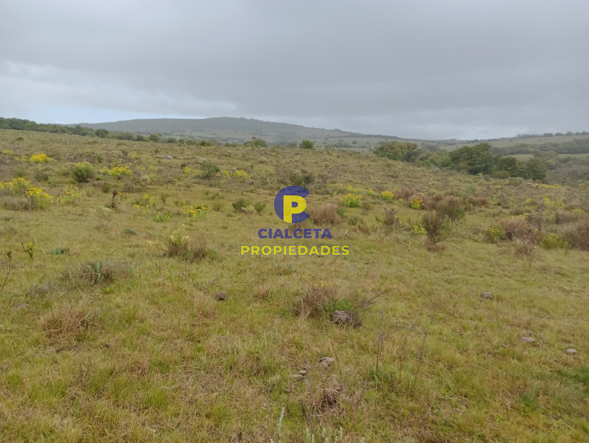 5 hectáreas en Maldonado, Pueblo Edén - GoPunta - Portal Inmobiliario de Punta del Este - Maldonado