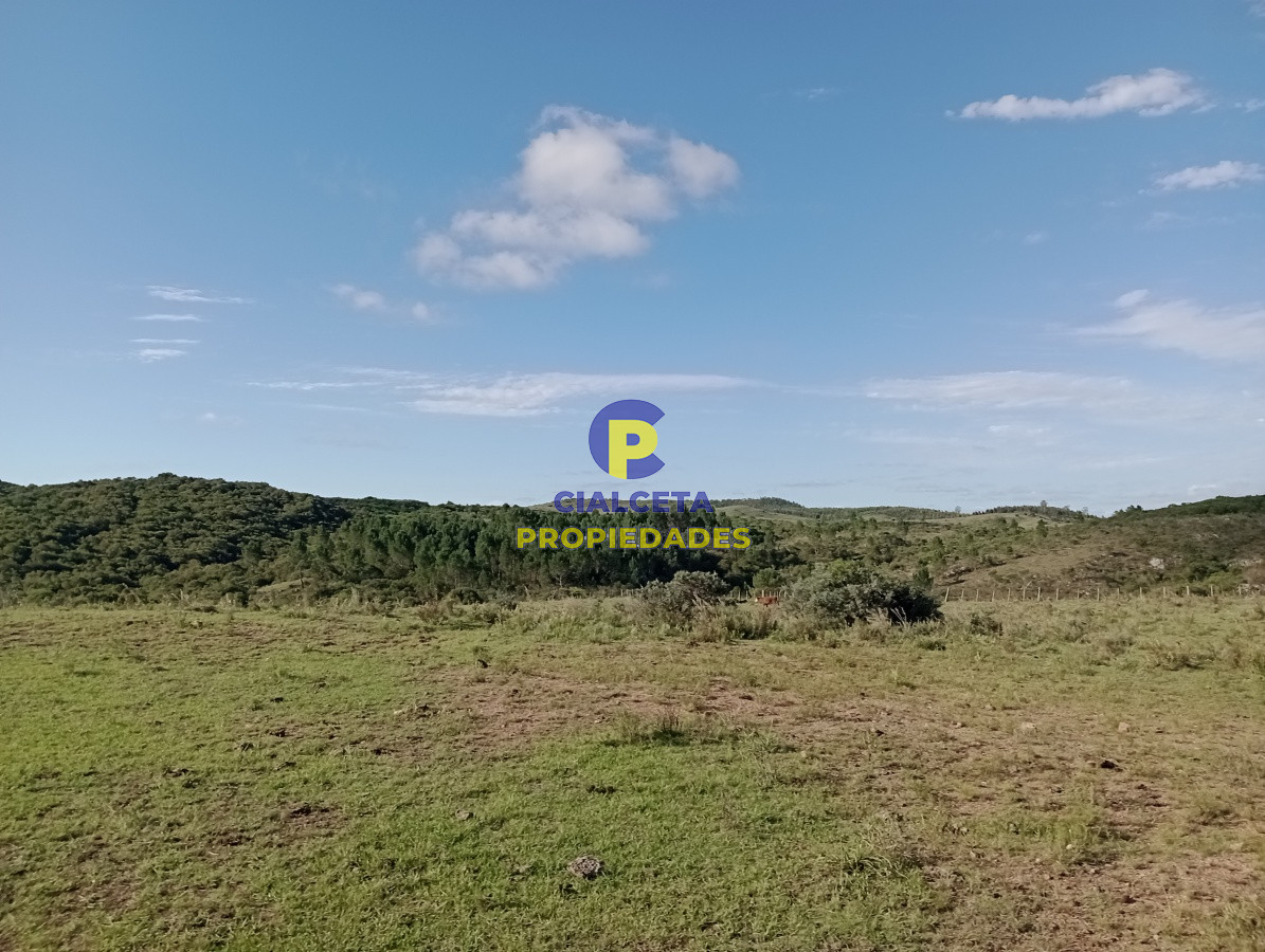 153 hectáreas en Maldonado - GoPunta - Portal Inmobiliario de Punta del Este - Maldonado