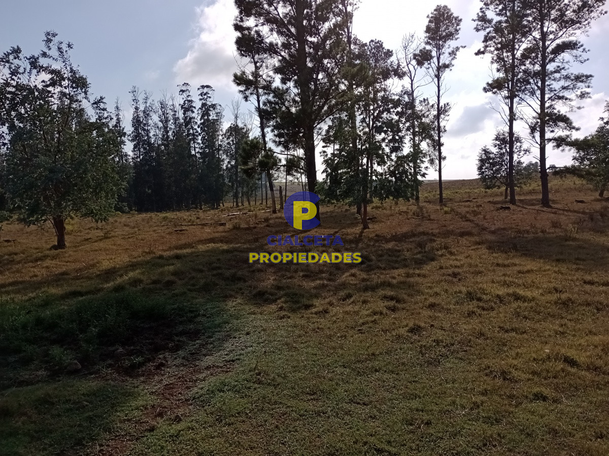 94 hectáreas en Maldonado - GoPunta - Portal Inmobiliario de Punta del Este - Maldonado