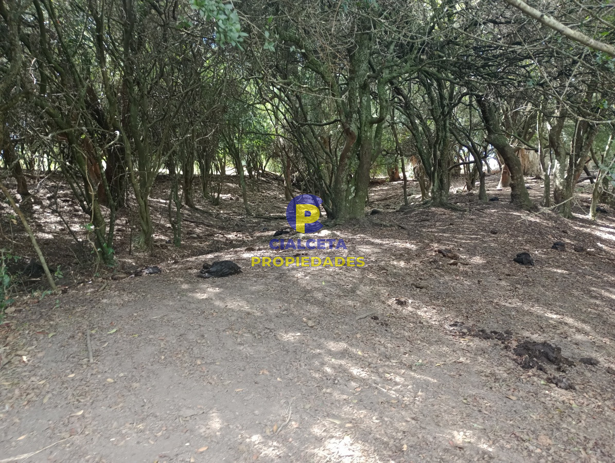 170 hectáreas en lavalleja - GoPunta - Portal Inmobiliario de Punta del Este - Maldonado