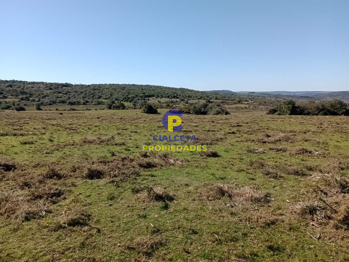 2957 hectáreas en Cerro Largo - GoPunta - Portal Inmobiliario de Punta del Este - Maldonado