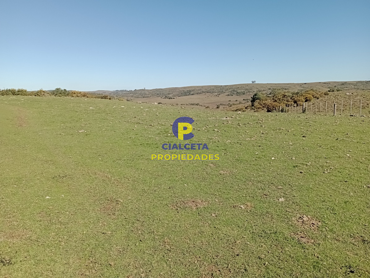 2957 hectáreas en Cerro Largo - GoPunta - Portal Inmobiliario de Punta del Este - Maldonado