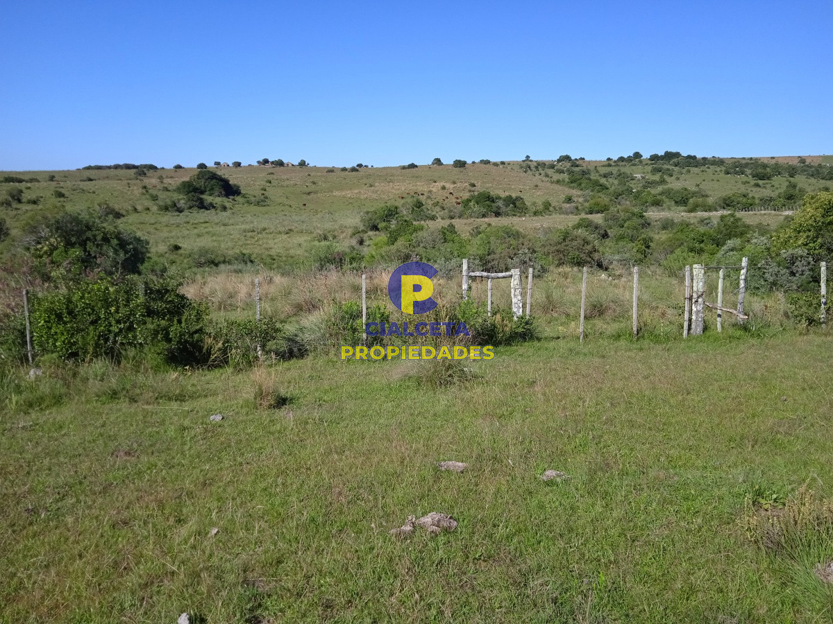 35 hectáreas en Maldonado - GoPunta - Portal Inmobiliario de Punta del Este - Maldonado