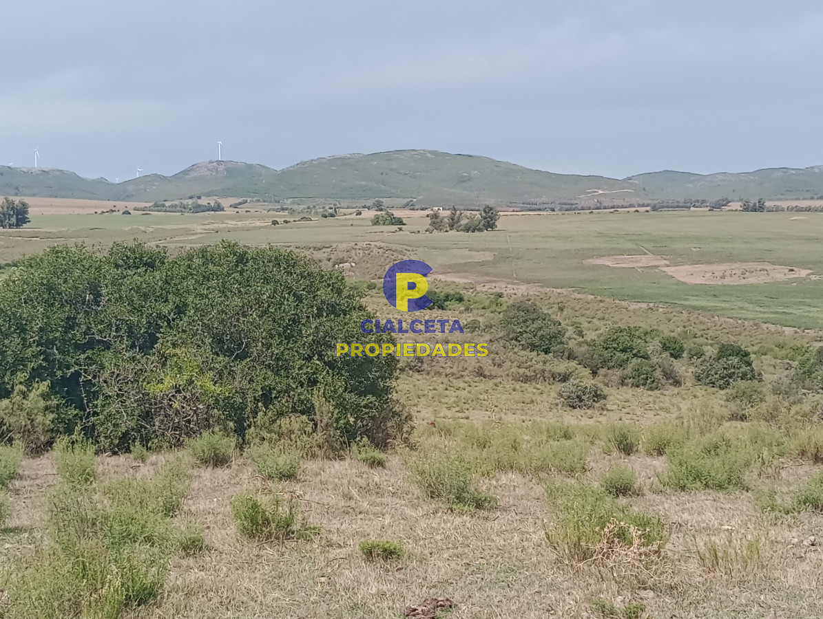 170 hectáreas en lavalleja - GoPunta - Portal Inmobiliario de Punta del Este - Maldonado