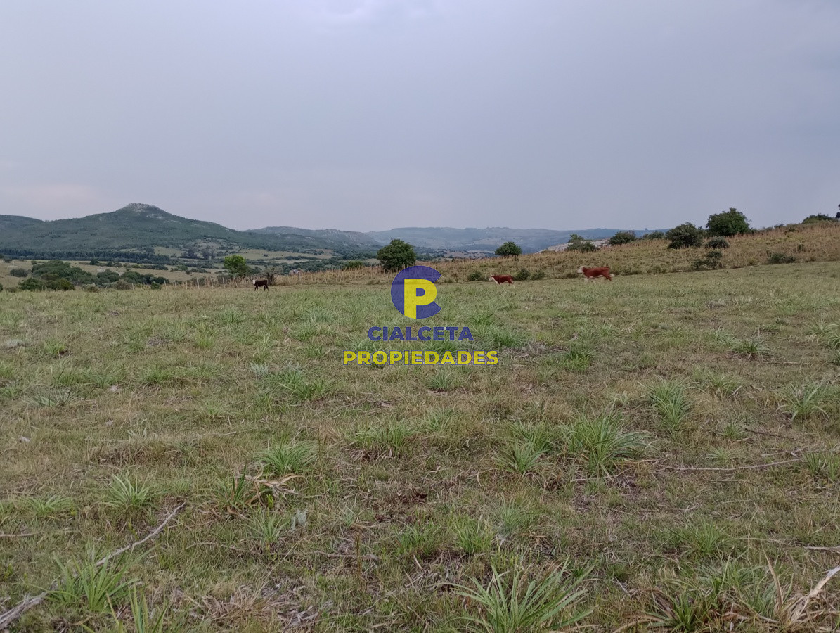 Chacras de 5 hectáreas - GoPunta - Portal Inmobiliario de Punta del Este - Maldonado