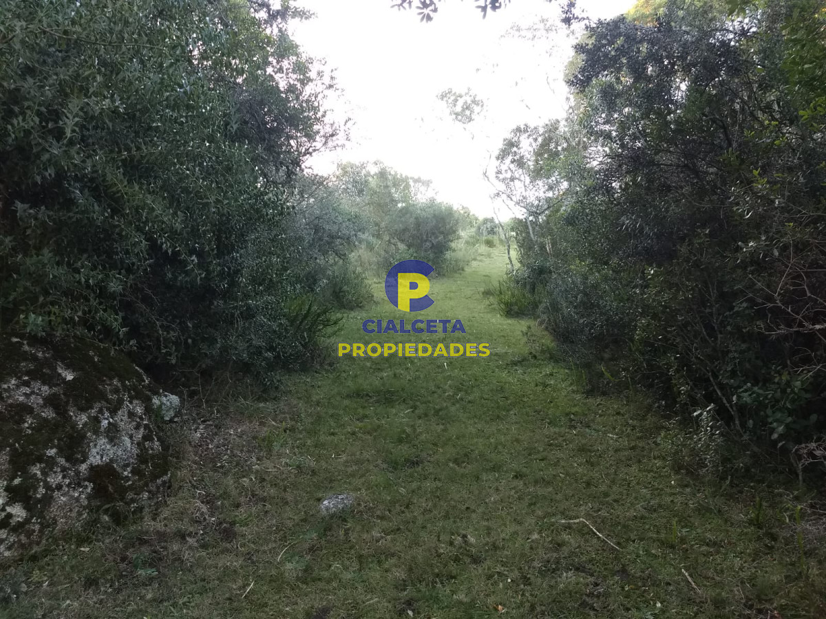 60 hectáreas en Garzón - GoPunta - Portal Inmobiliario de Punta del Este - Maldonado