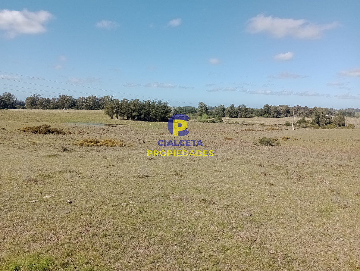 125 hectáreas en Rocha - GoPunta - Portal Inmobiliario de Punta del Este - Maldonado
