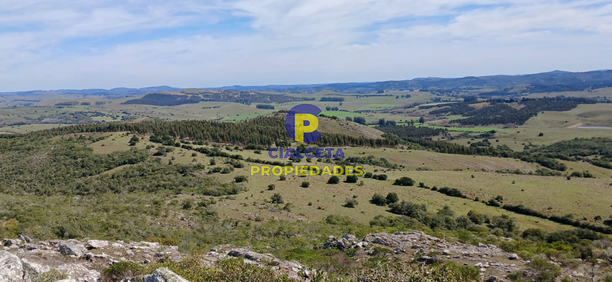395 hectáreas en Lavalleja - GoPunta - Portal Inmobiliario de Punta del Este - Maldonado