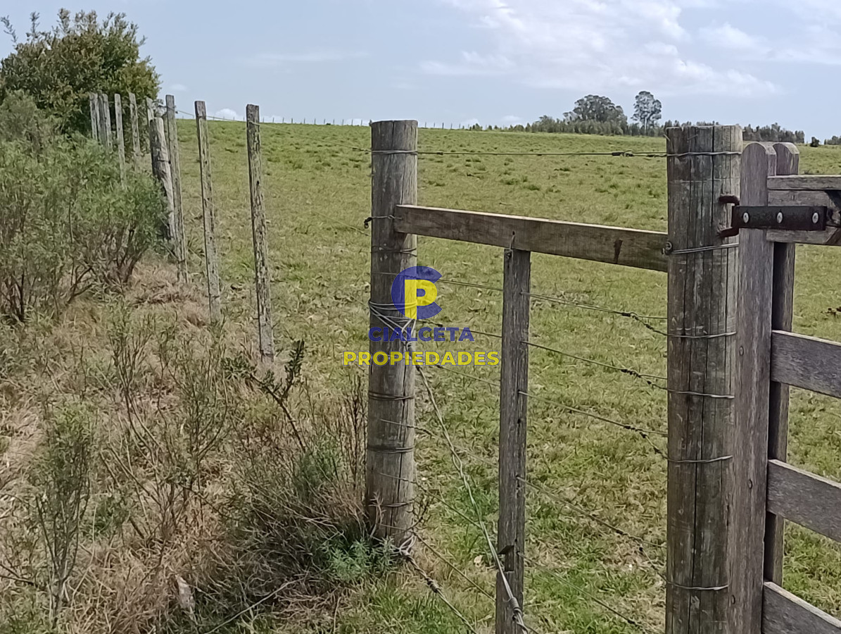 28 hectáreas y media en Maldonado - GoPunta - Portal Inmobiliario de Punta del Este - Maldonado
