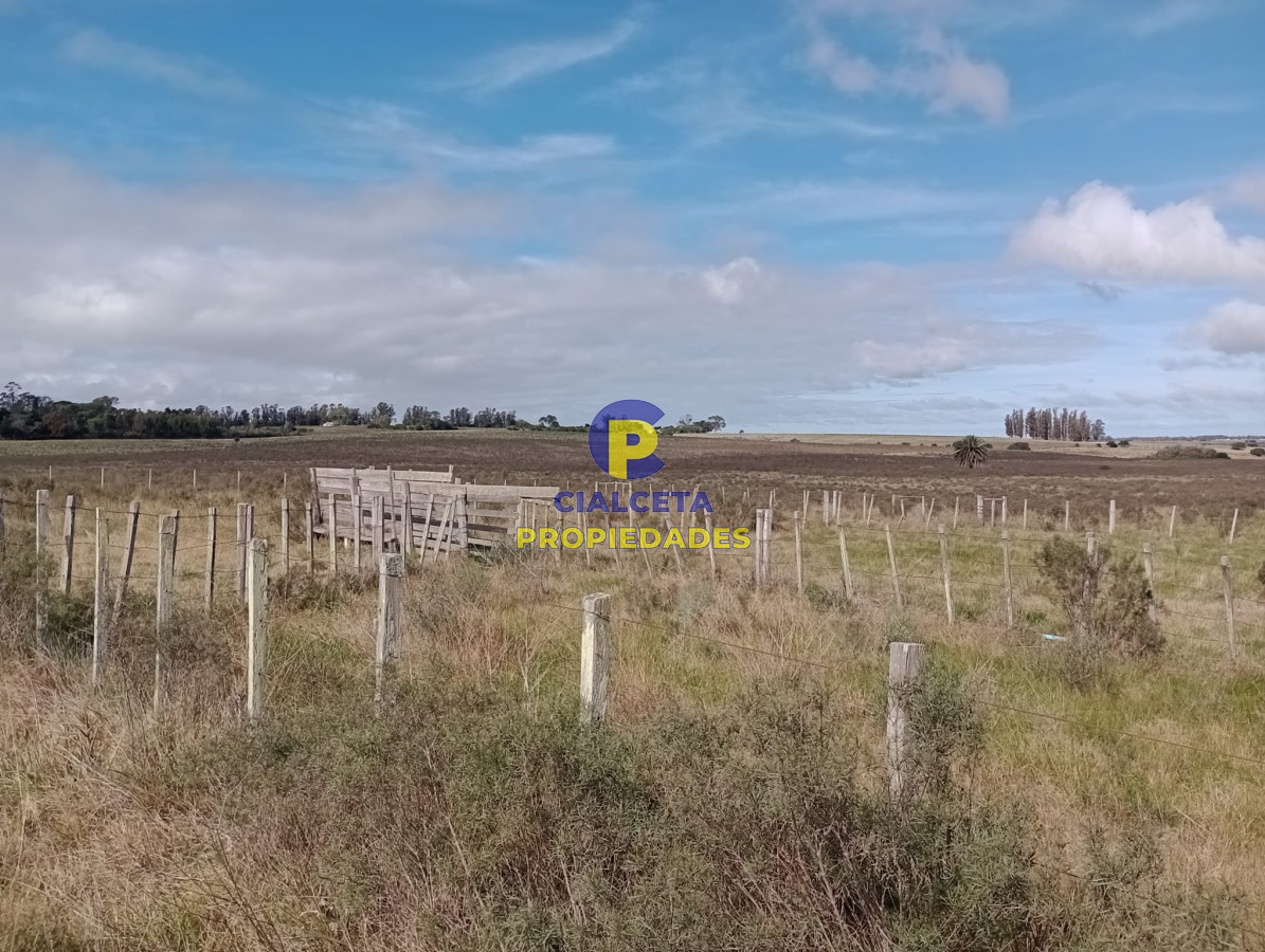 102 hectáreas en Canelones - GoPunta - Portal Inmobiliario de Punta del Este - Maldonado