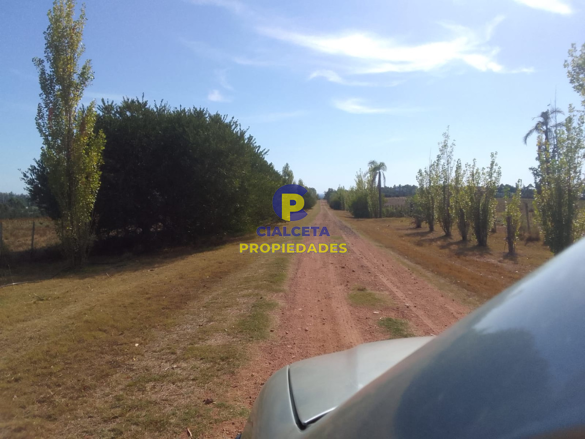 330 hectáreas en Maldonado - GoPunta - Portal Inmobiliario de Punta del Este - Maldonado