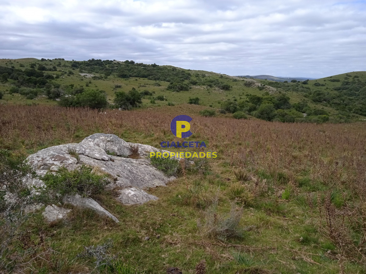 29 hectáreas en maldonado - GoPunta - Portal Inmobiliario de Punta del Este - Maldonado