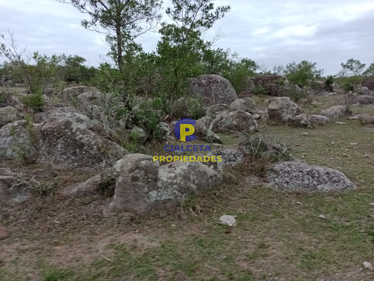 664 hectáreas en Colonia - GoPunta - Portal Inmobiliario de Punta del Este - Maldonado
