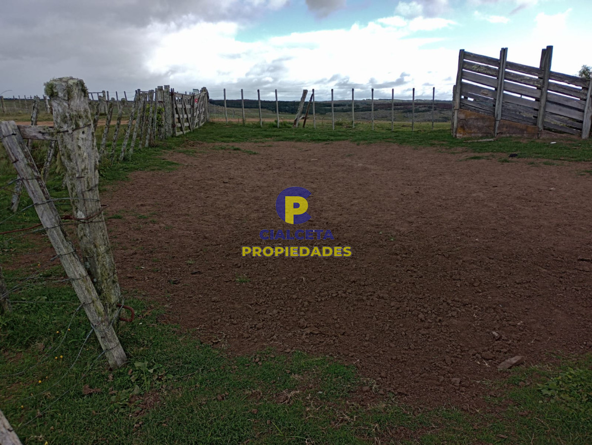 140 hectáreas en Lavalleja - GoPunta - Portal Inmobiliario de Punta del Este - Maldonado
