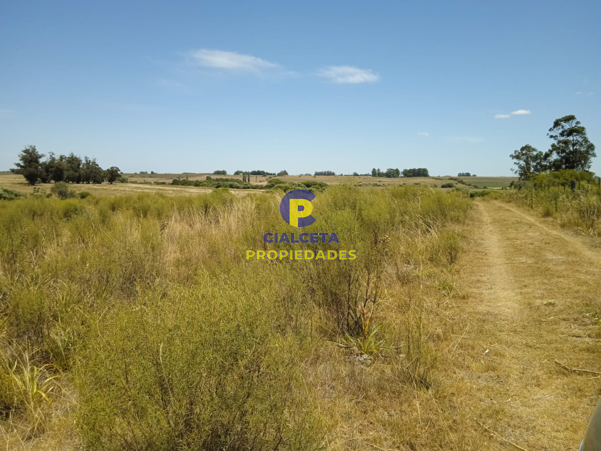 23 hectáreas en Lavalleja con arroyo - GoPunta - Portal Inmobiliario de Punta del Este - Maldonado