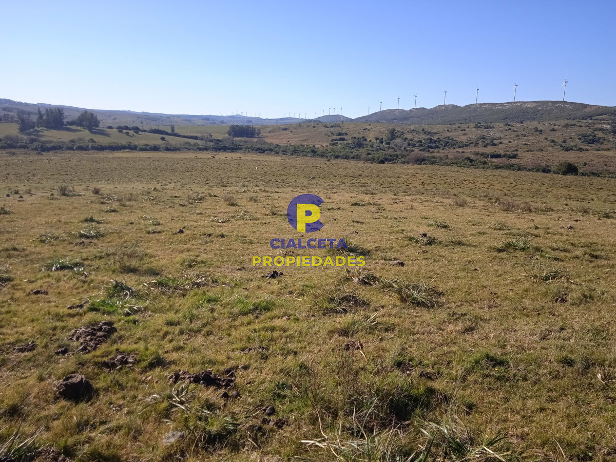 60 hectáreas en Carapé - GoPunta - Portal Inmobiliario de Punta del Este - Maldonado