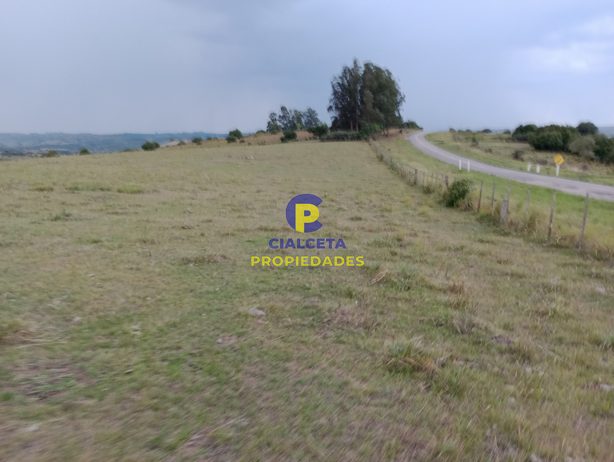 Chacras de 5 hectáreas - GoPunta - Portal Inmobiliario de Punta del Este - Maldonado