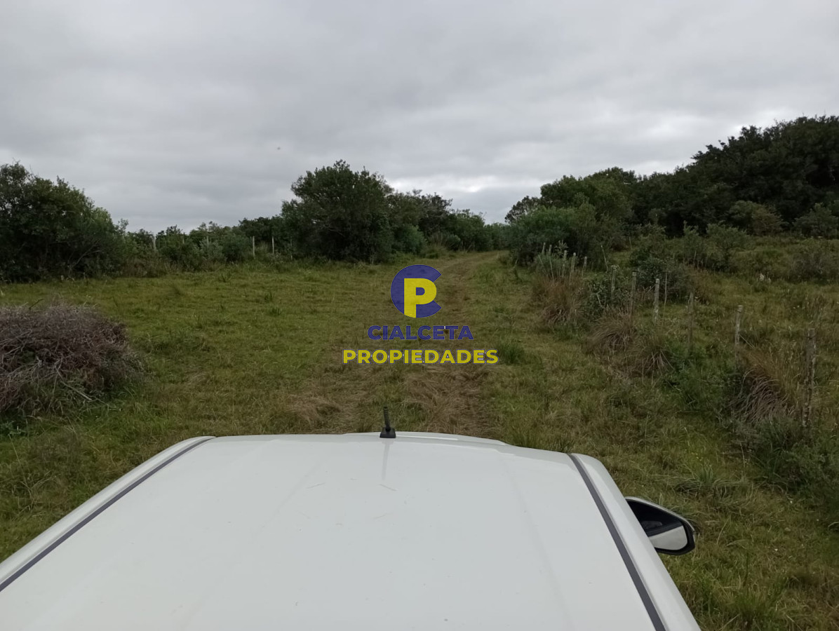 48 hectáreas con 8 mil metros en Garzón - GoPunta - Portal Inmobiliario de Punta del Este - Maldonado