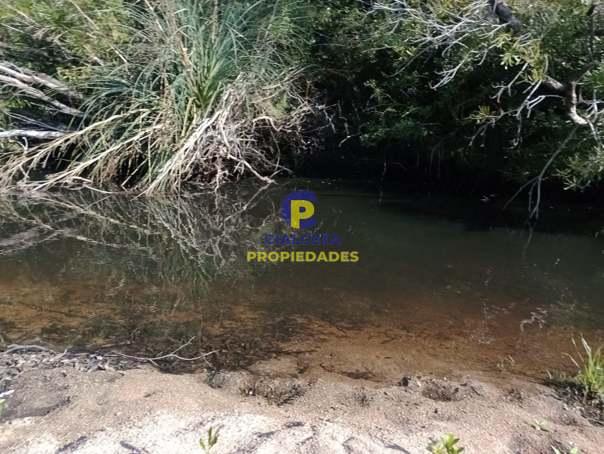 39 hectáreas en Maldonado - GoPunta - Portal Inmobiliario de Punta del Este - Maldonado