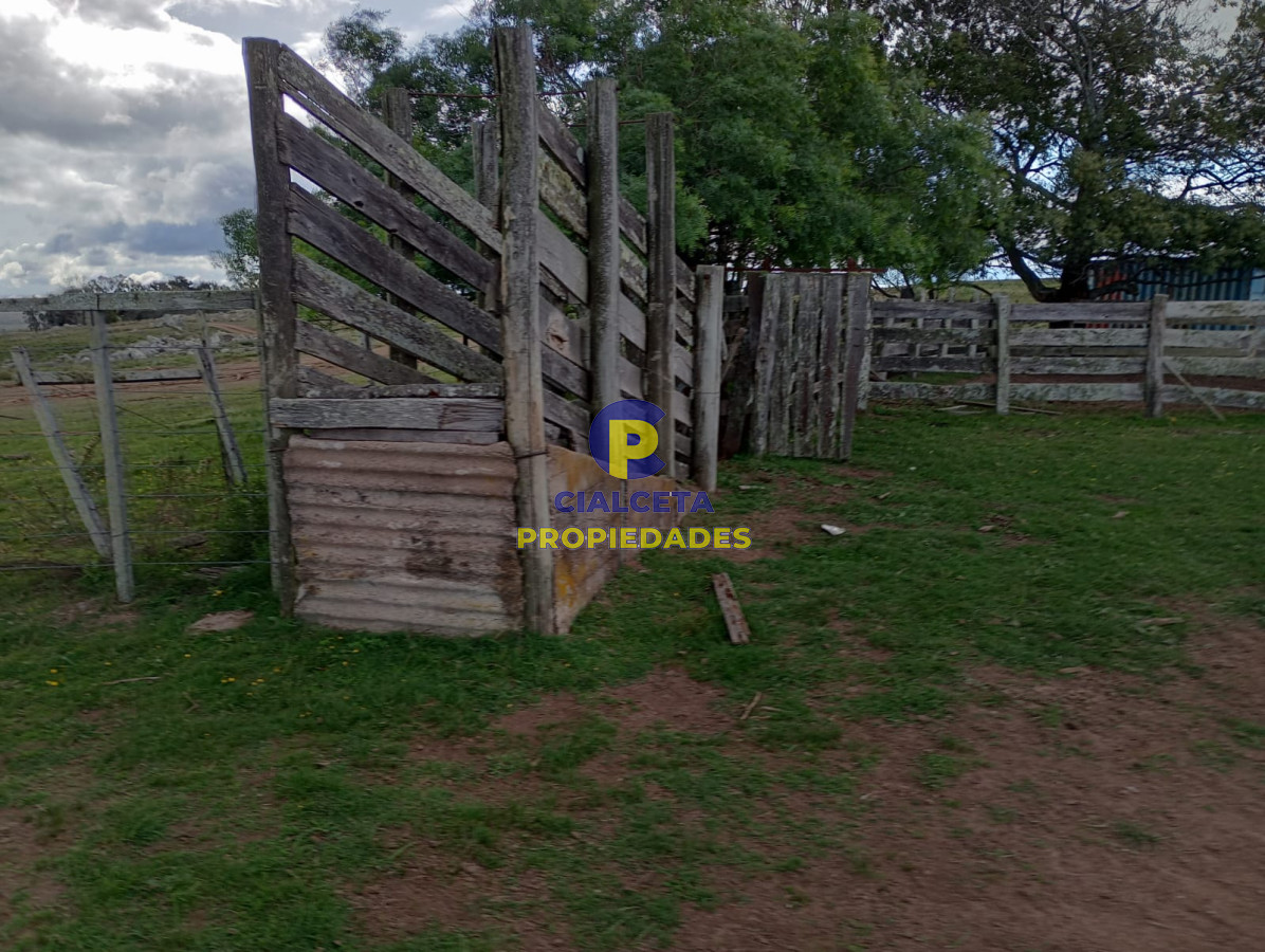 140 hectáreas en Lavalleja - GoPunta - Portal Inmobiliario de Punta del Este - Maldonado