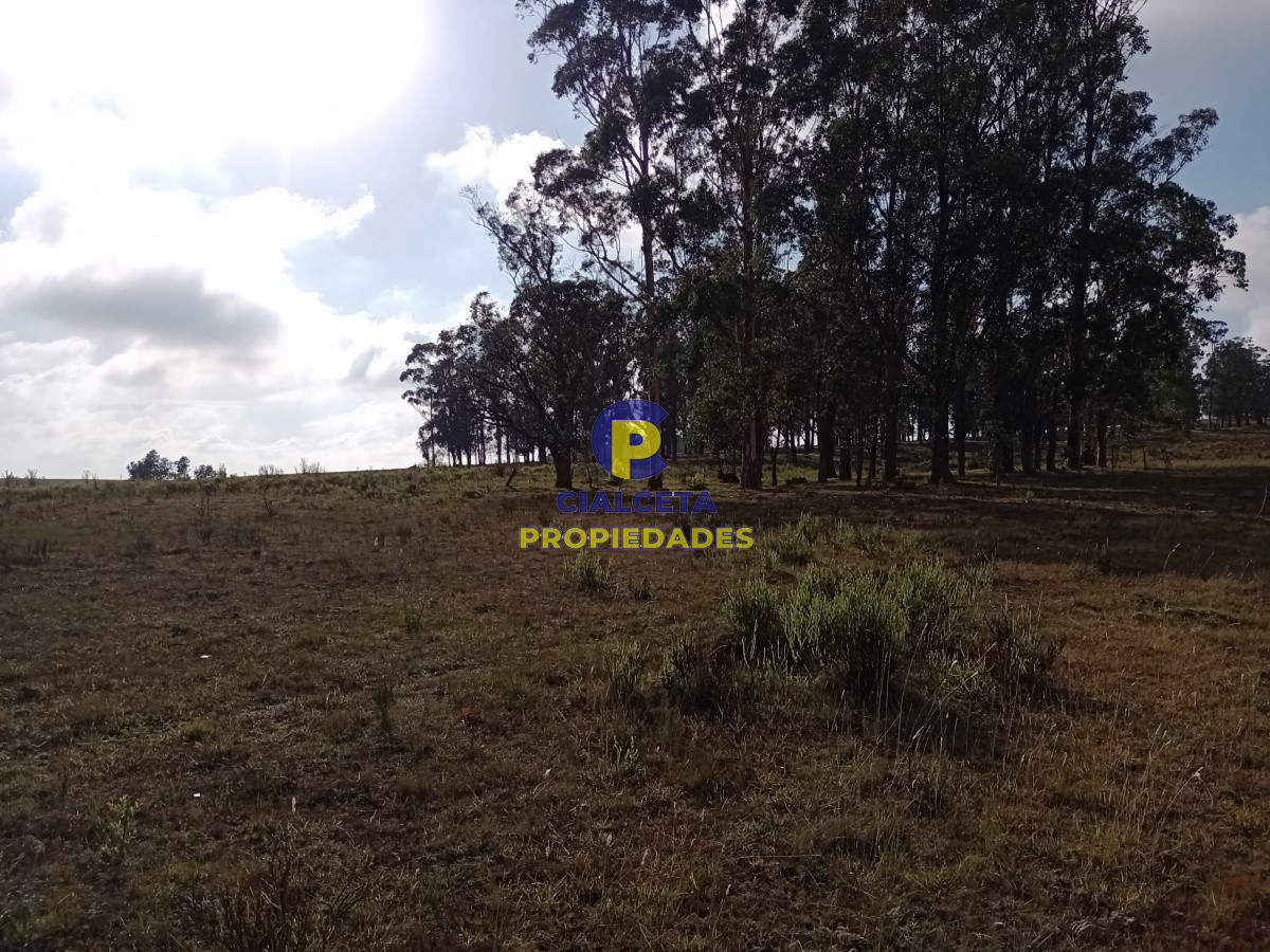 94 hectáreas en Maldonado - GoPunta - Portal Inmobiliario de Punta del Este - Maldonado