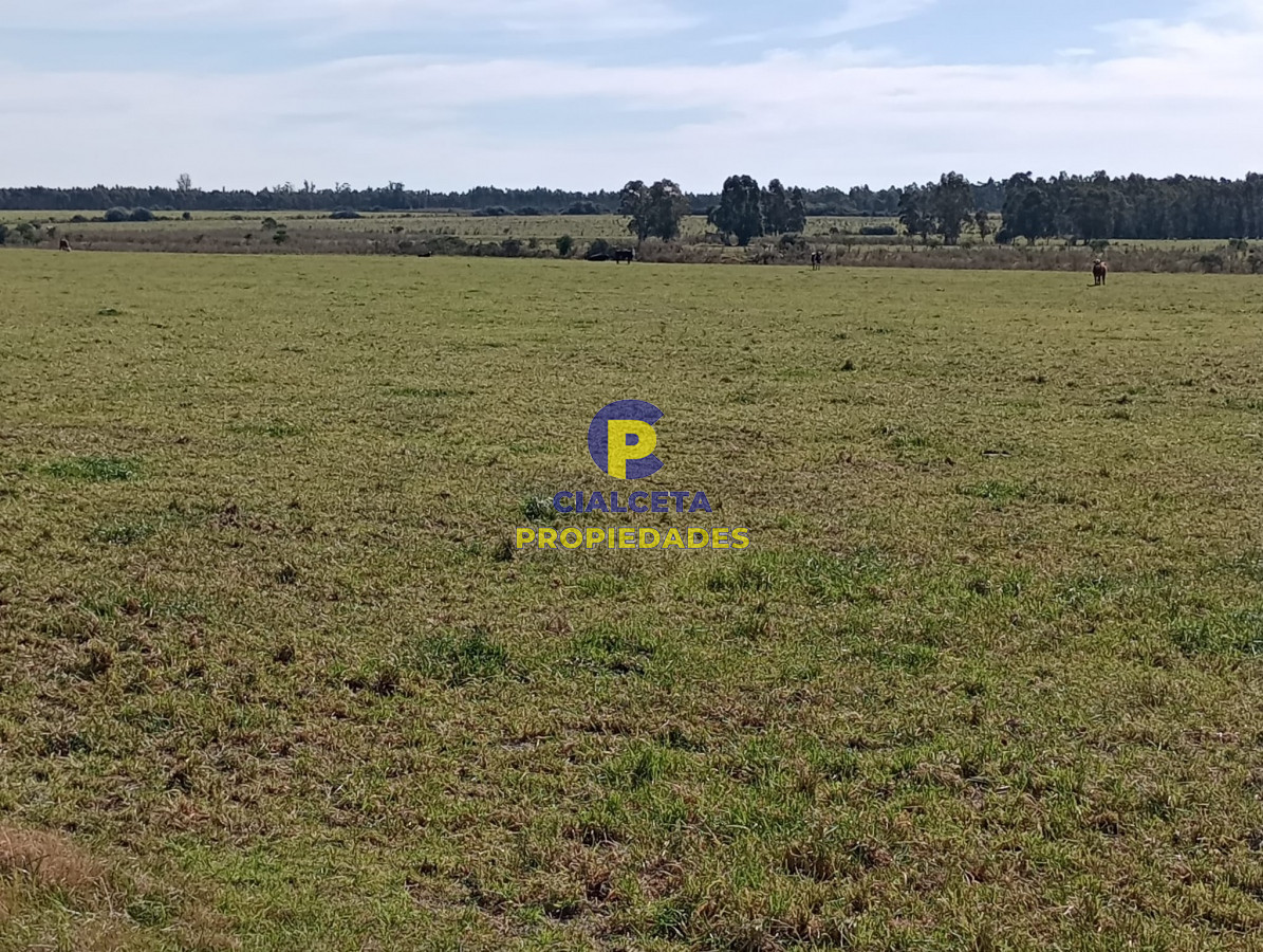 5 hectáreas en Maldonado - GoPunta - Portal Inmobiliario de Punta del Este - Maldonado