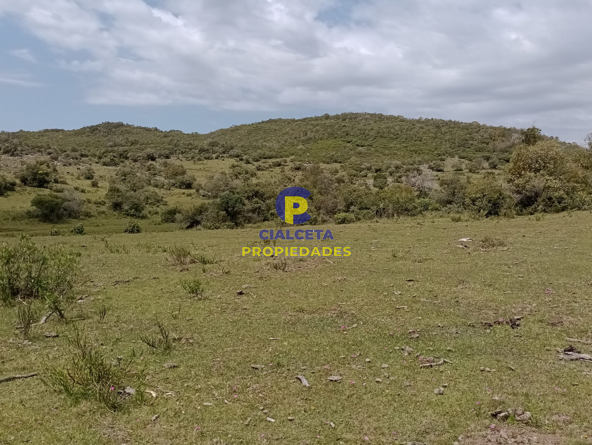 55 hectáreas en Maldonado - GoPunta - Portal Inmobiliario de Punta del Este - Maldonado
