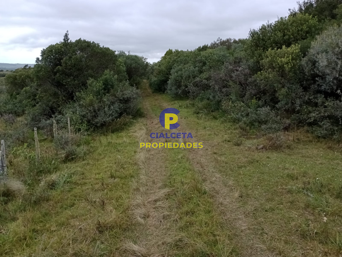 48 hectáreas con 8 mil metros en Garzón - GoPunta - Portal Inmobiliario de Punta del Este - Maldonado
