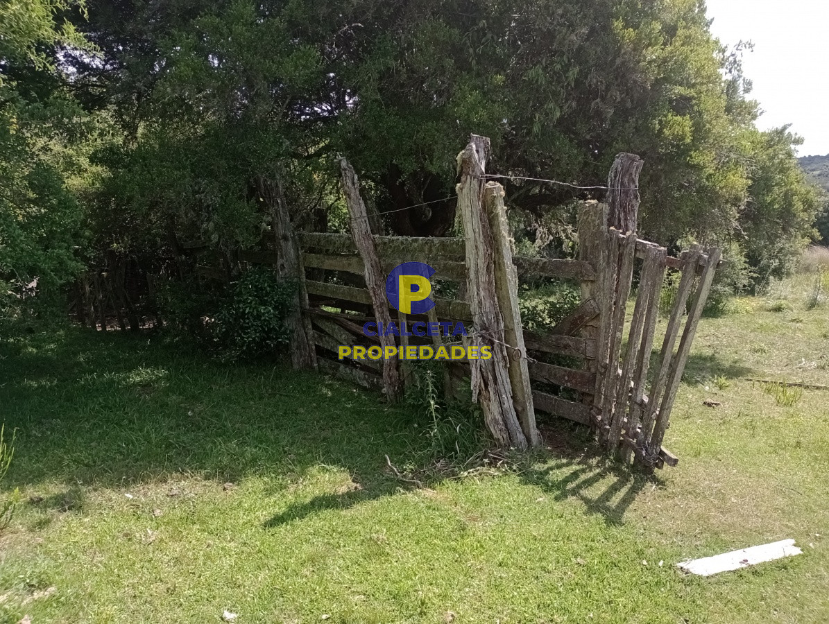 98 hectáreas en Maldonado - GoPunta - Portal Inmobiliario de Punta del Este - Maldonado
