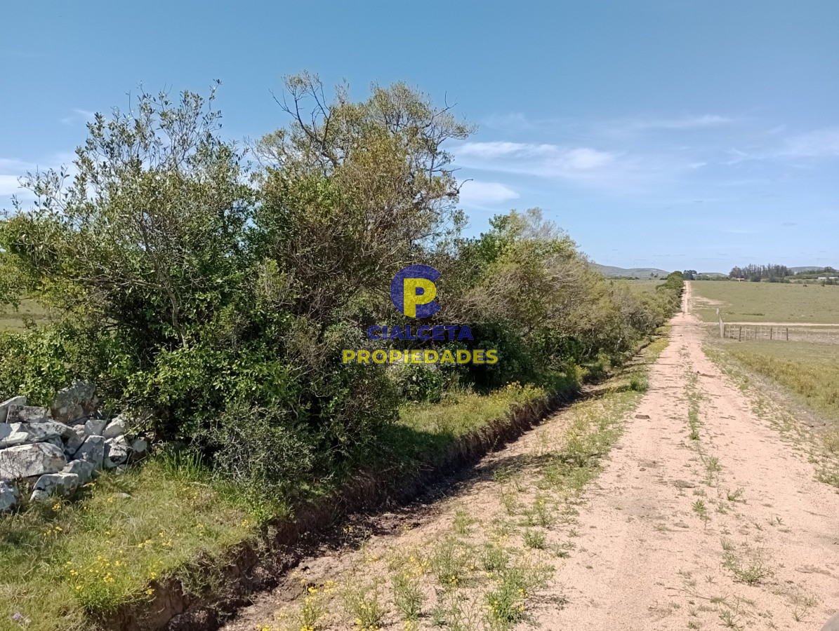 5 hectáreas en Pueblo Edén - GoPunta - Portal Inmobiliario de Punta del Este - Maldonado