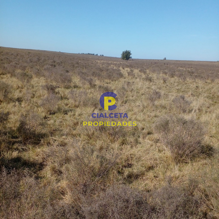 130 hectáreas en Canelones - GoPunta - Portal Inmobiliario de Punta del Este - Maldonado