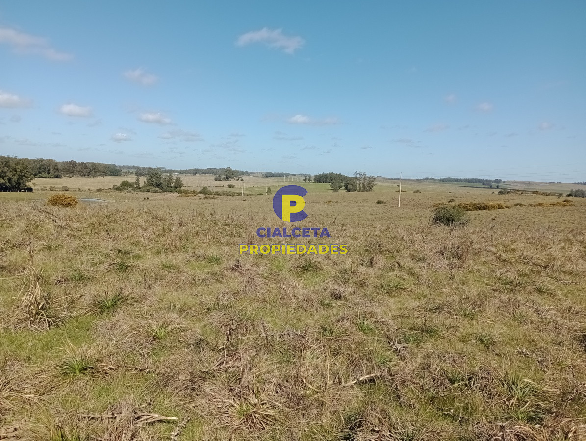 125 hectáreas en Rocha - GoPunta - Portal Inmobiliario de Punta del Este - Maldonado