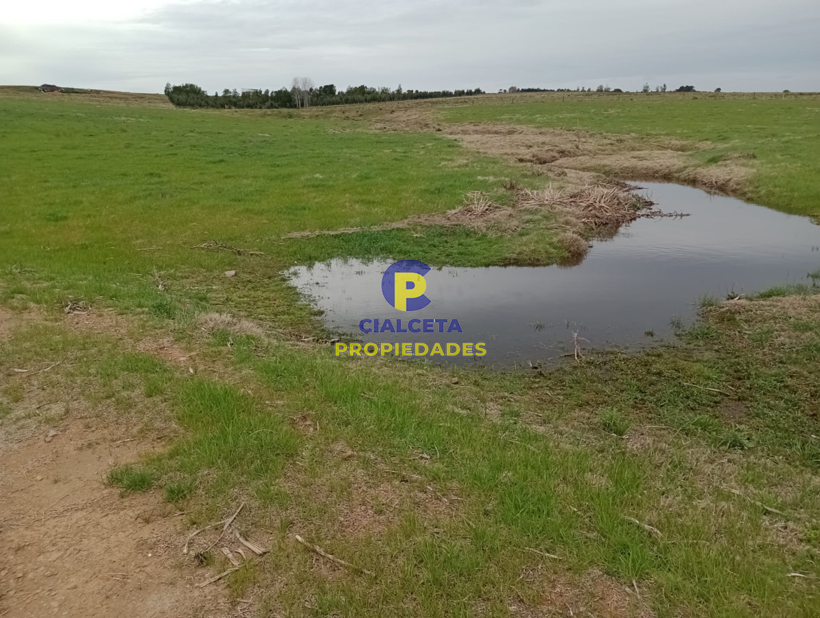 15 hectáreas en Maldonado - GoPunta - Portal Inmobiliario de Punta del Este - Maldonado